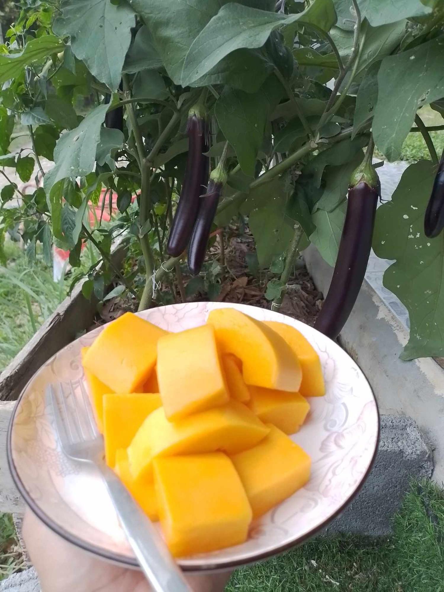 度假居 班考麦开兰达村旅馆 Ko Lanta